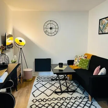Le Black Pearl Avec Salle De Sport Apartment Amiens